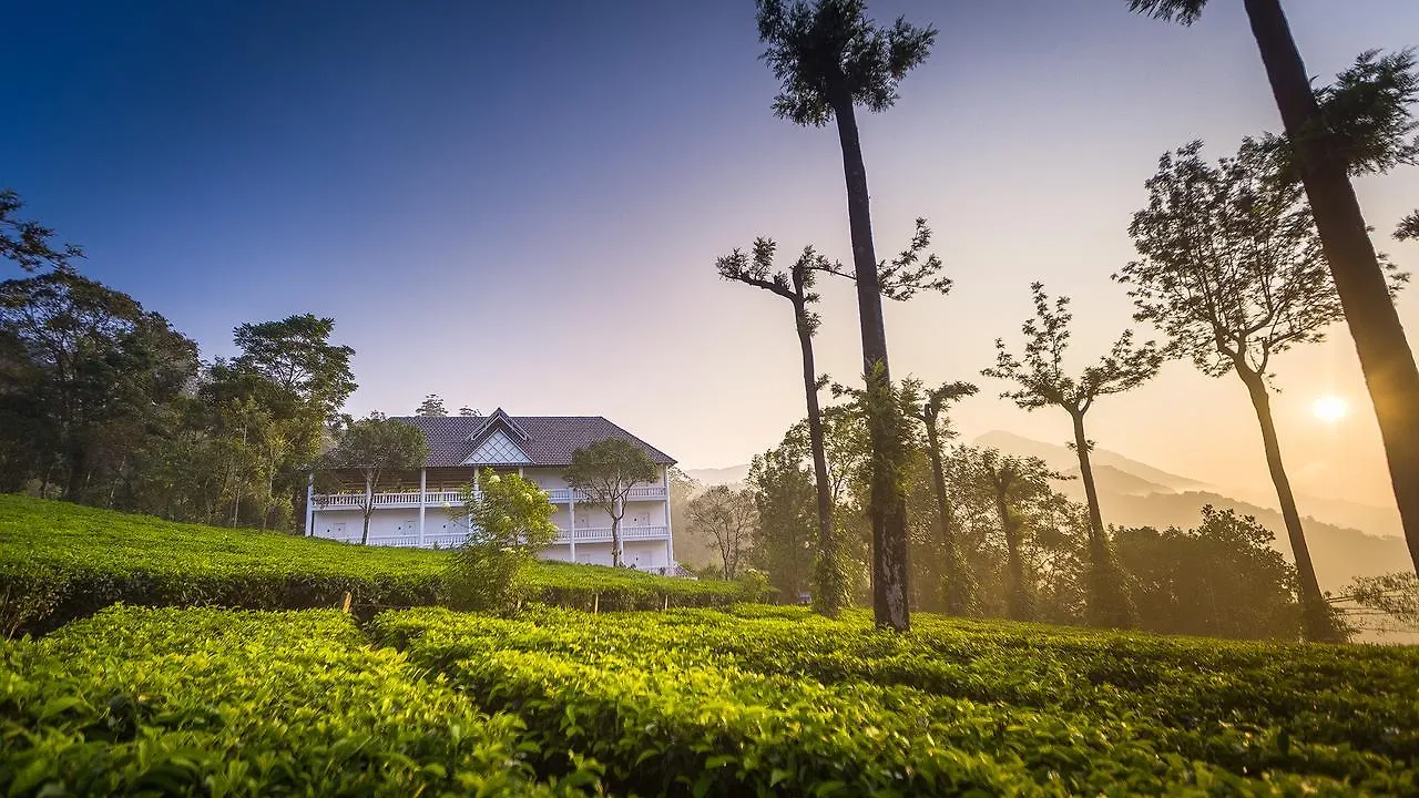 Tea Harvester Munnar India
