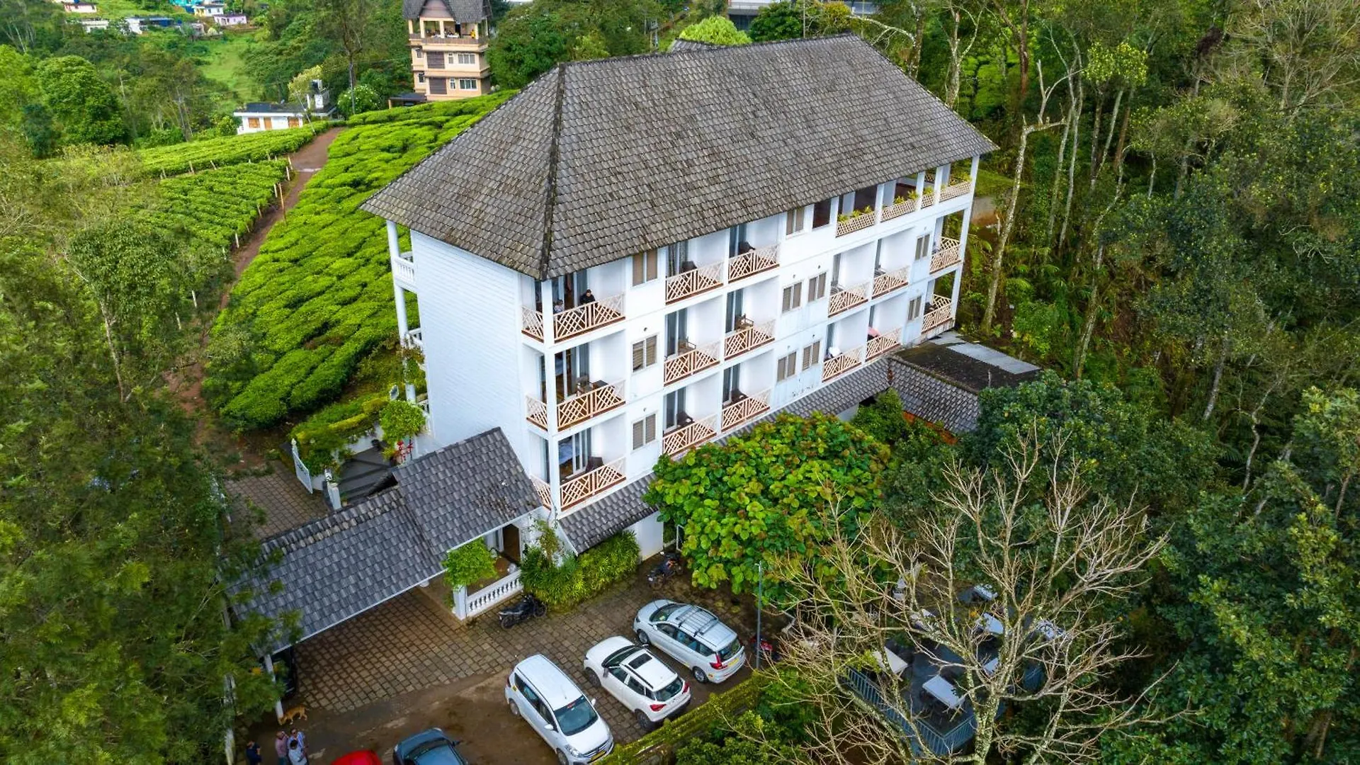 Tea Harvester Munnar Inde