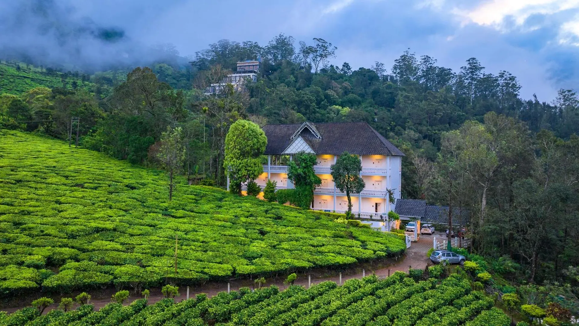Tea Harvester Munnar 3*,  Inde