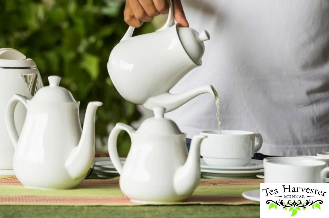 *** Station touristique Tea Harvester Munnar Inde